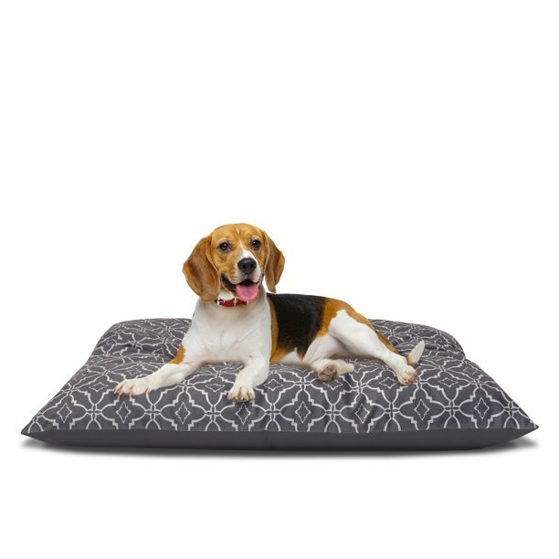 Vibrant life shop pillow pet bed