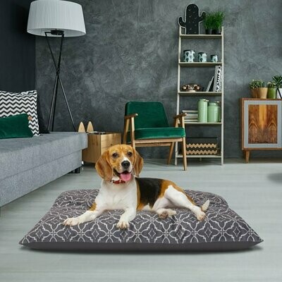 Vibrant Life Pillow Pet Bed, Large, Multiple Colors