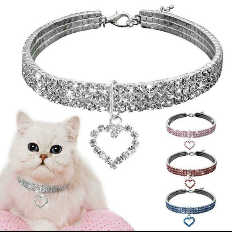 Cat/ or small dog collar