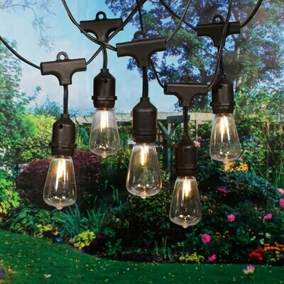15 Count Edison Bulb String Lights, Black Wire