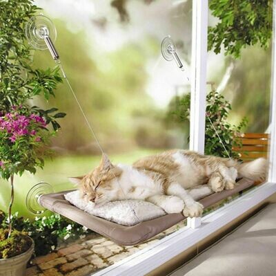 Cat Bed, Cat Window Perch Window Seat Suction Cups Sunbath for Cats