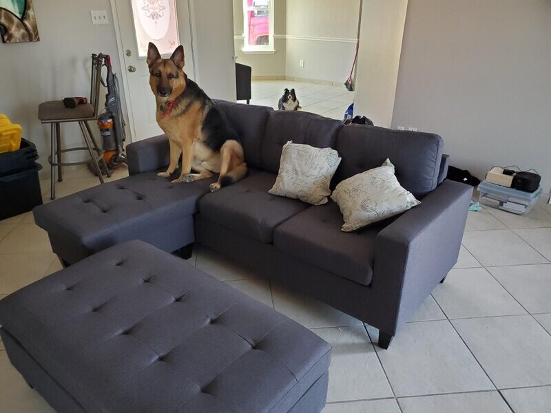 One Sectional with Ottoman and 2 Pillows