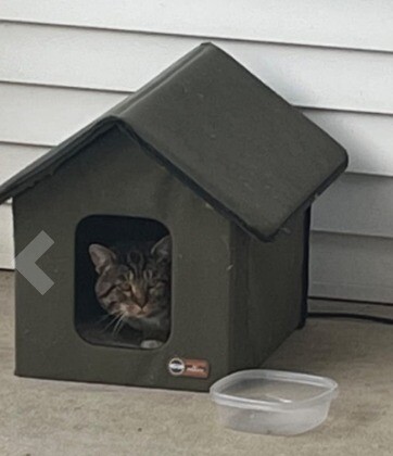 Pet Outdoor Waterproof Safe Heated Kitty House Cat Shelter Olive/Olive 19x22x17