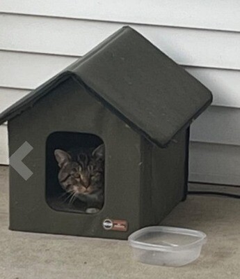 Pet Outdoor Waterproof Safe Heated Kitty House Cat Shelter Olive/Olive 19x22x17