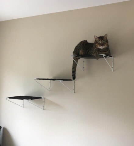 Wall Mounted Cat Climbing Steps Furniture Cats Step Shelves Bed Set of 3