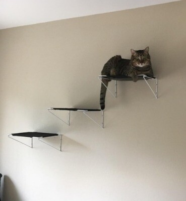 Wall Mounted Cat Climbing Steps Furniture Cats Step Shelves Bed Set of 3