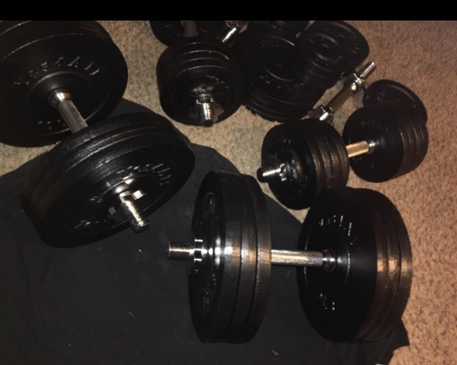 60 lb Cast Iron Adjustable Dumbbell Weight Plates Set Home Workout Fitness Pair