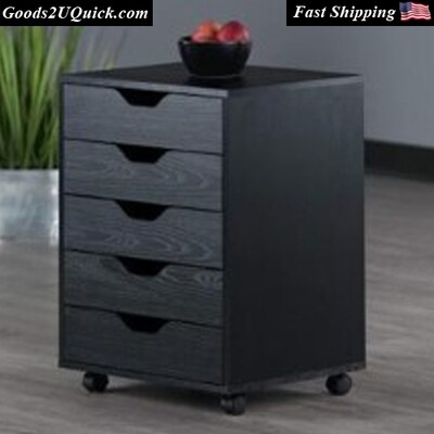 Winsome Wood Halifax 5-Drawer Mobile Cabinet, Black