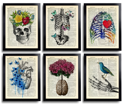 Anatomy Art Print Set 6 Medical Wall Art Anatomical Poster Home Decor Gifts Anatomical Gift Set of Posters Vintage Human Anatomy Skull 630