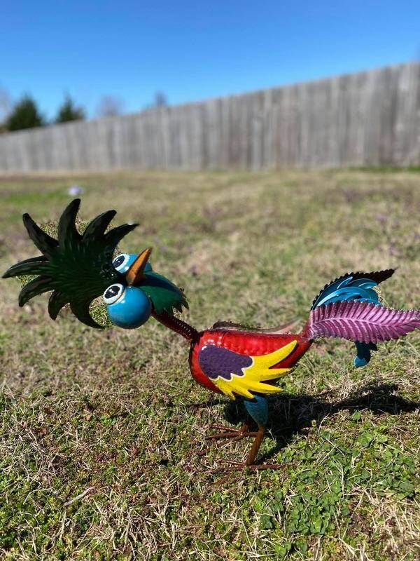 19 in. Tall Indoor/Outdoor Wild Tropical Metal Rooster Yard Statue Decoration Statue Lawn Ornament Garden Decor Figurine
