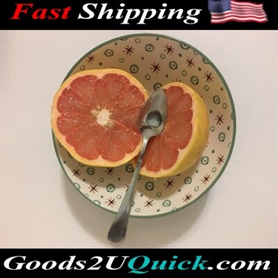 2 Pcs Set 6.5 inches Stainless Steel Chef Craft Serrated Grapefruit Spoon