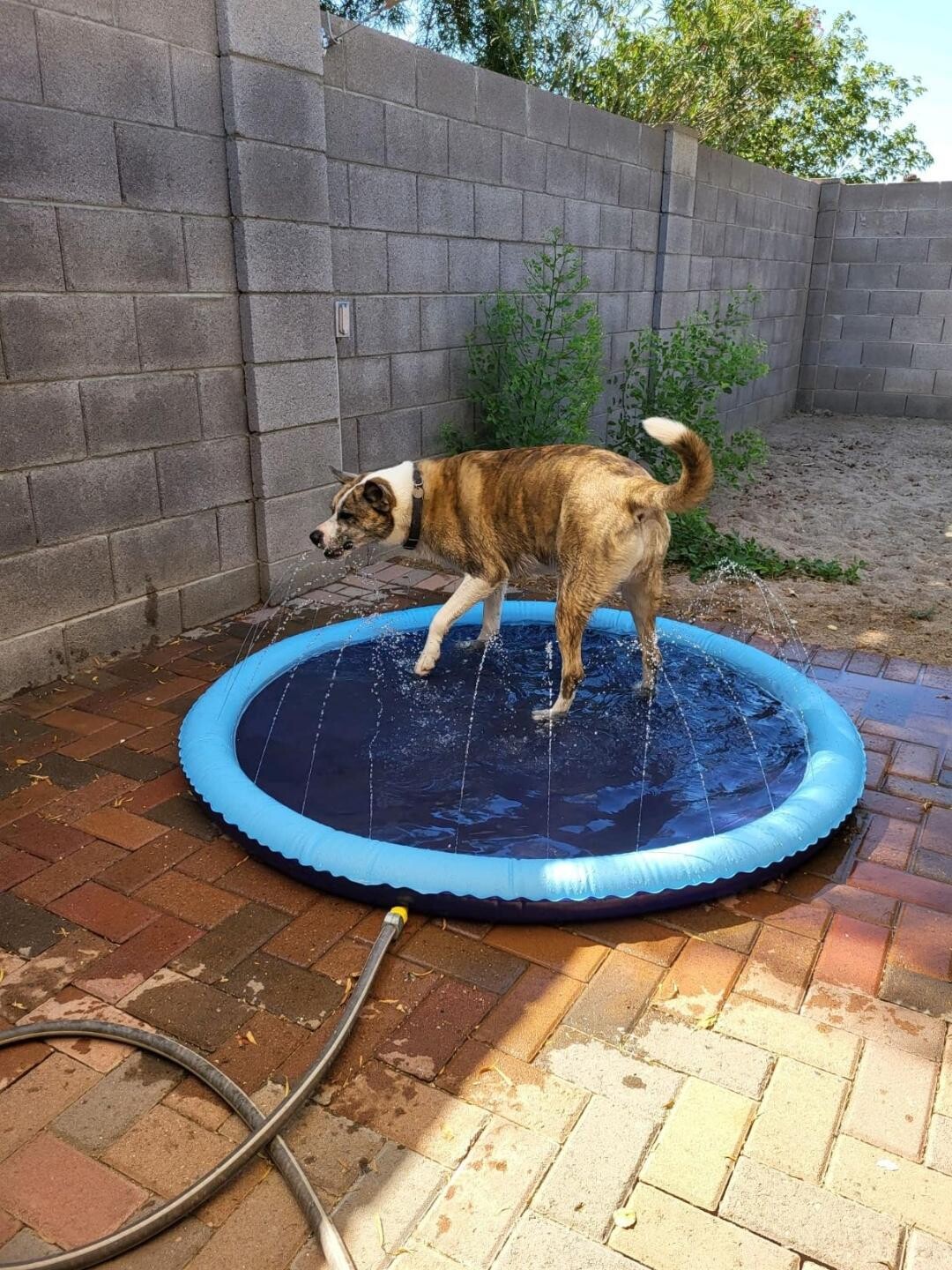 Ultimate Summer Splash Haven: 67-Inch Thicken Sprinkler Pool and Play Mat - Non-Slip Joy for Kids and Pets Alike - Unleash Backyard Water Fun