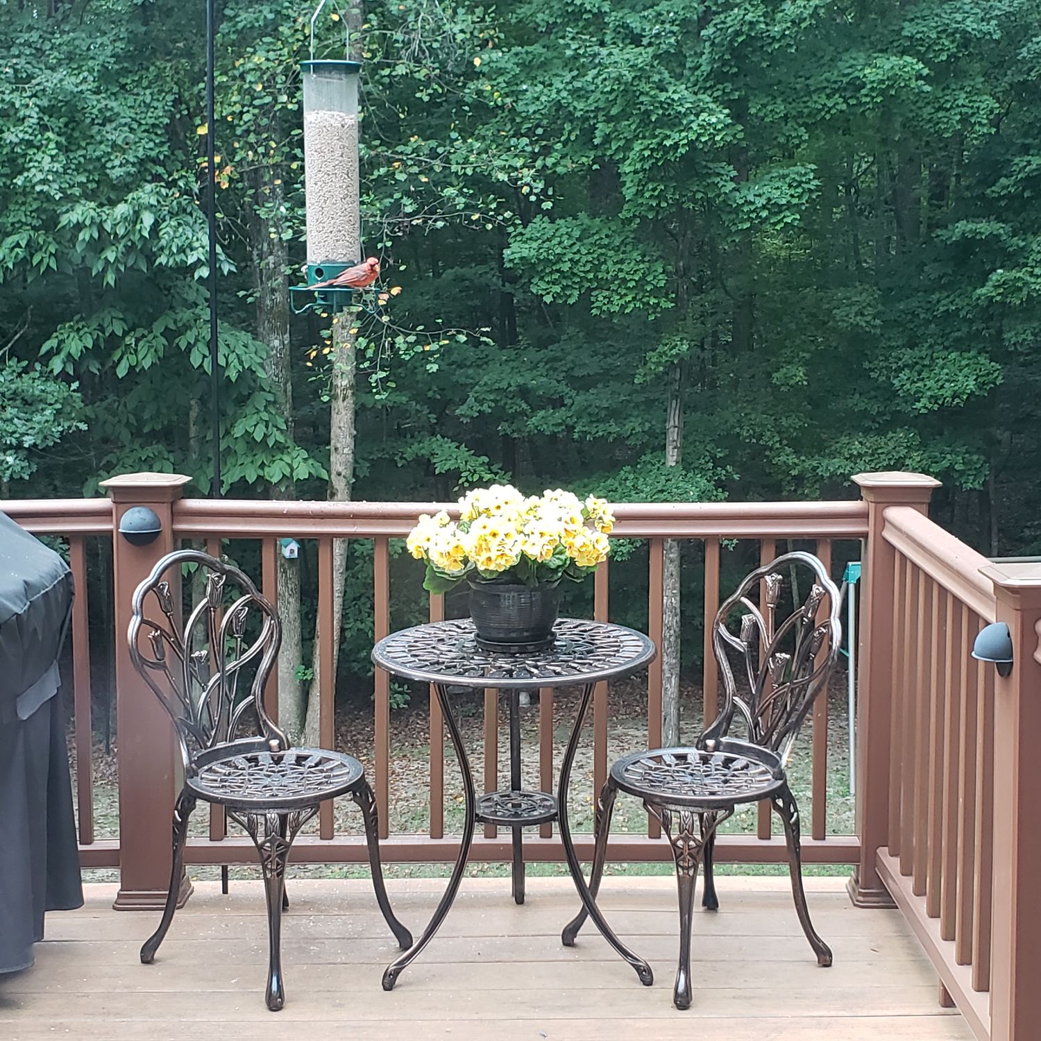 3pc Patio Bistro Dining Furniture Set Outdoor Garden Iron Table Chair Bronze US