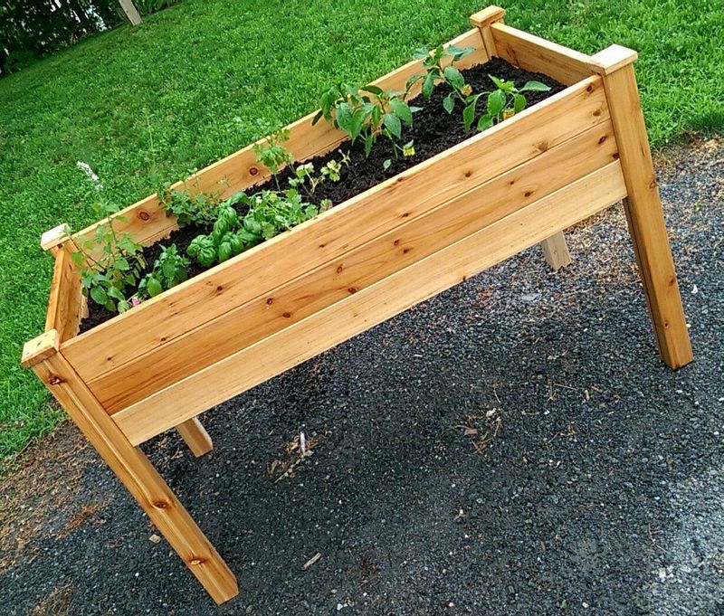 Natural Wood Raised Planter Box (48&quot; x 24&quot;) w/ Liner | 200 lb Capacity Elevated Garden Bed