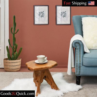 Cedar Roots Plant Stand Naturally Shaped Mushroom Stool Side Table 13.5"x12"x15"