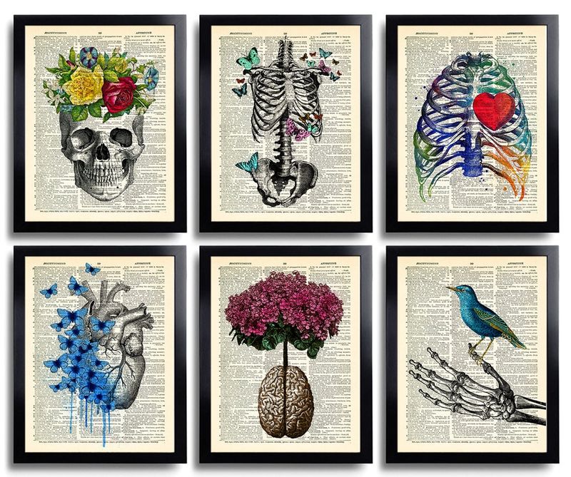 Anatomy Art Print Set 6 Medical Wall Art Anatomical Poster Home Decor Gifts Anatomical Gift Set of Posters Vintage Human Anatomy Skull 630