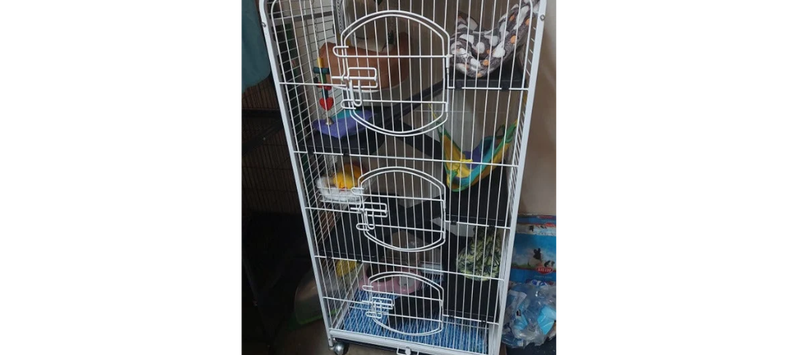 Large Rolling Cat Kitten Cage 6-Tier 52" Metal Kitten House for Ferret