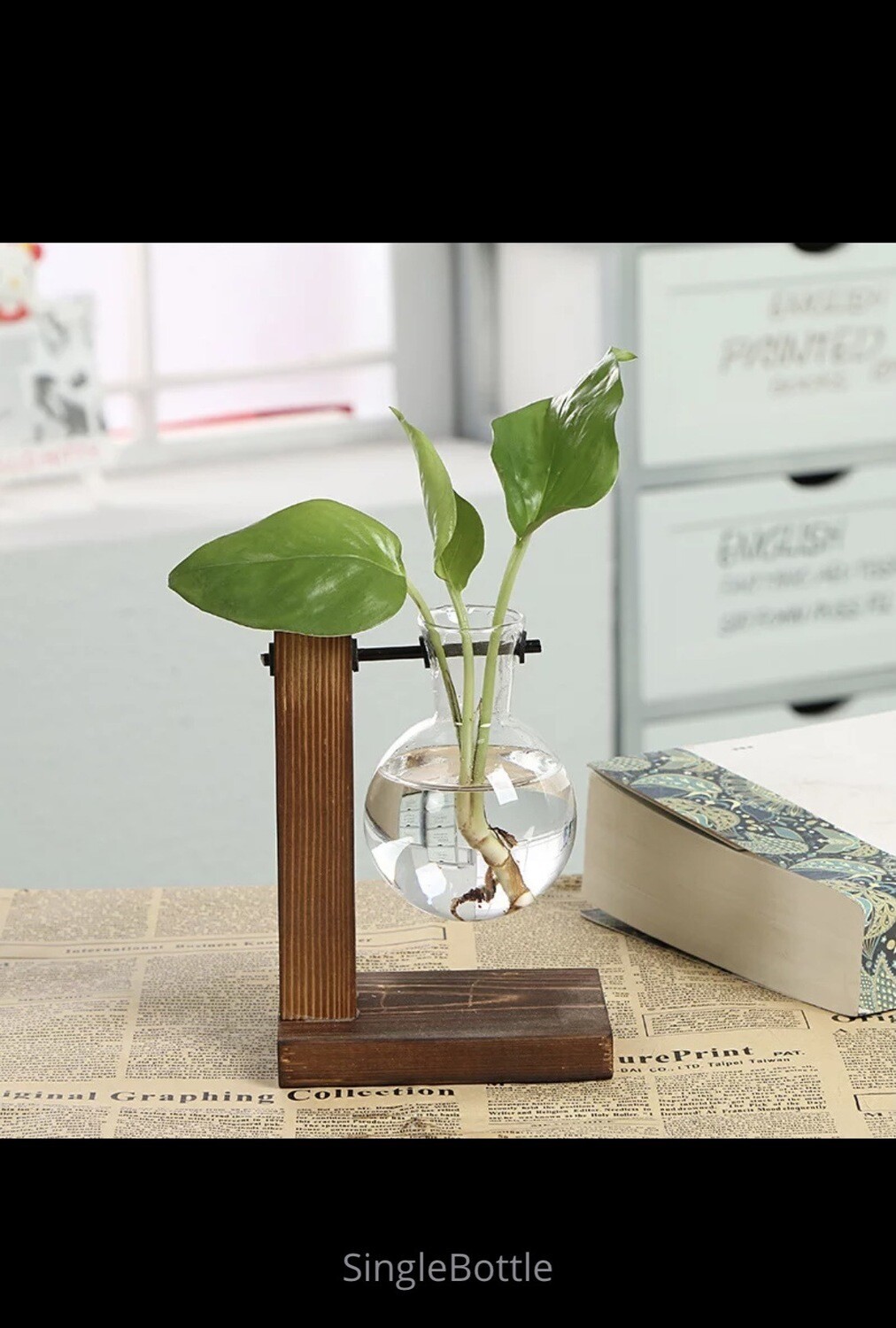 Vase à plante hydroponiques