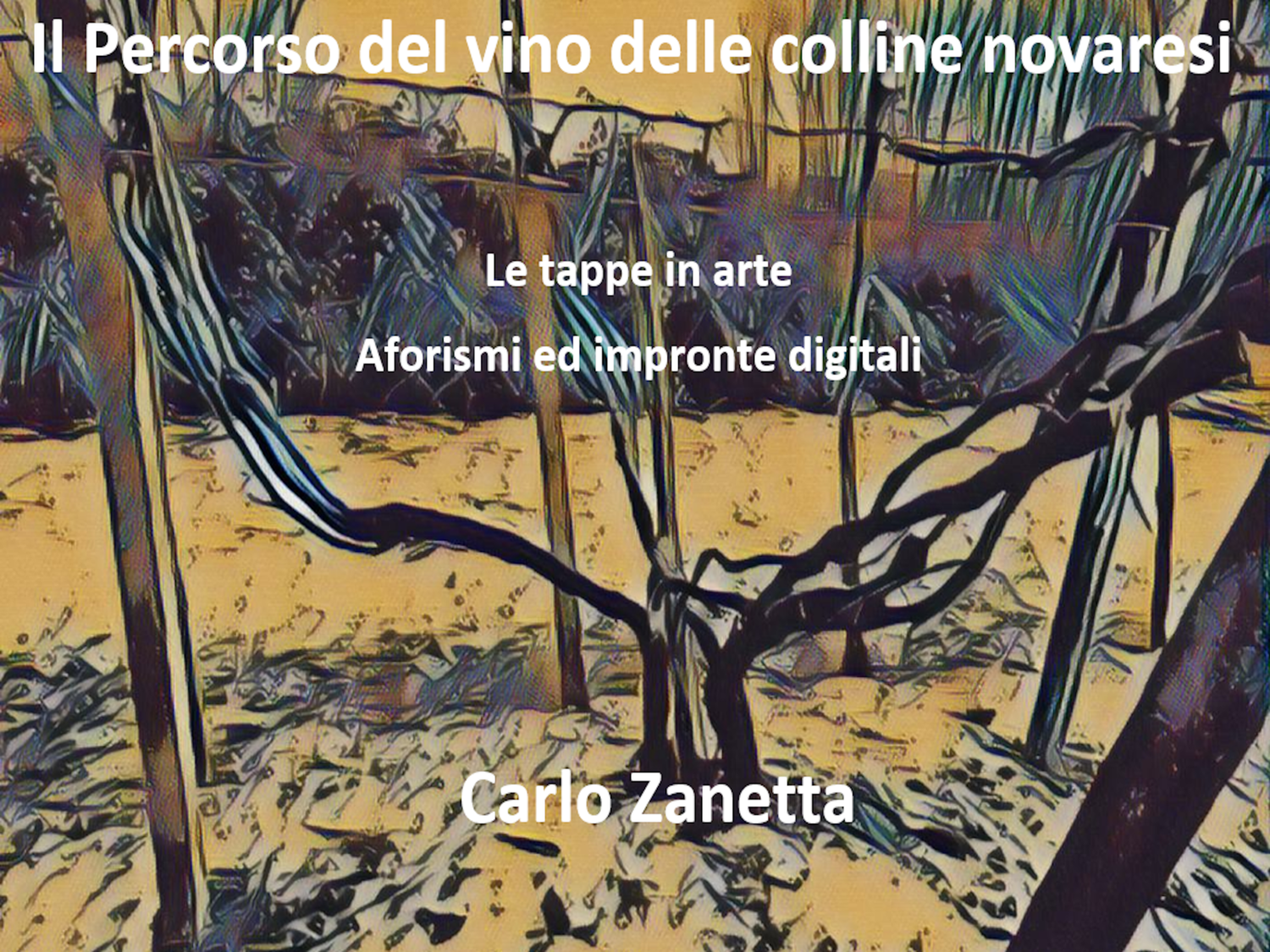 Il percorso del vino delle colline novaresi
Le tappe in arte
Aforismi ed impronte digitali