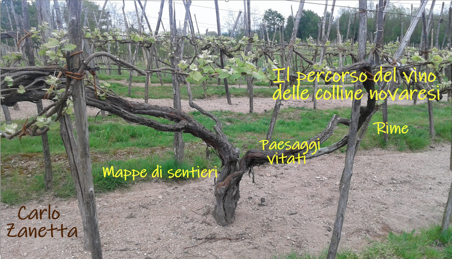 Il percorso del vino delle colline novaresi. Rime Paesaggi vitati Mappe di sentieri. Carlo Zanetta