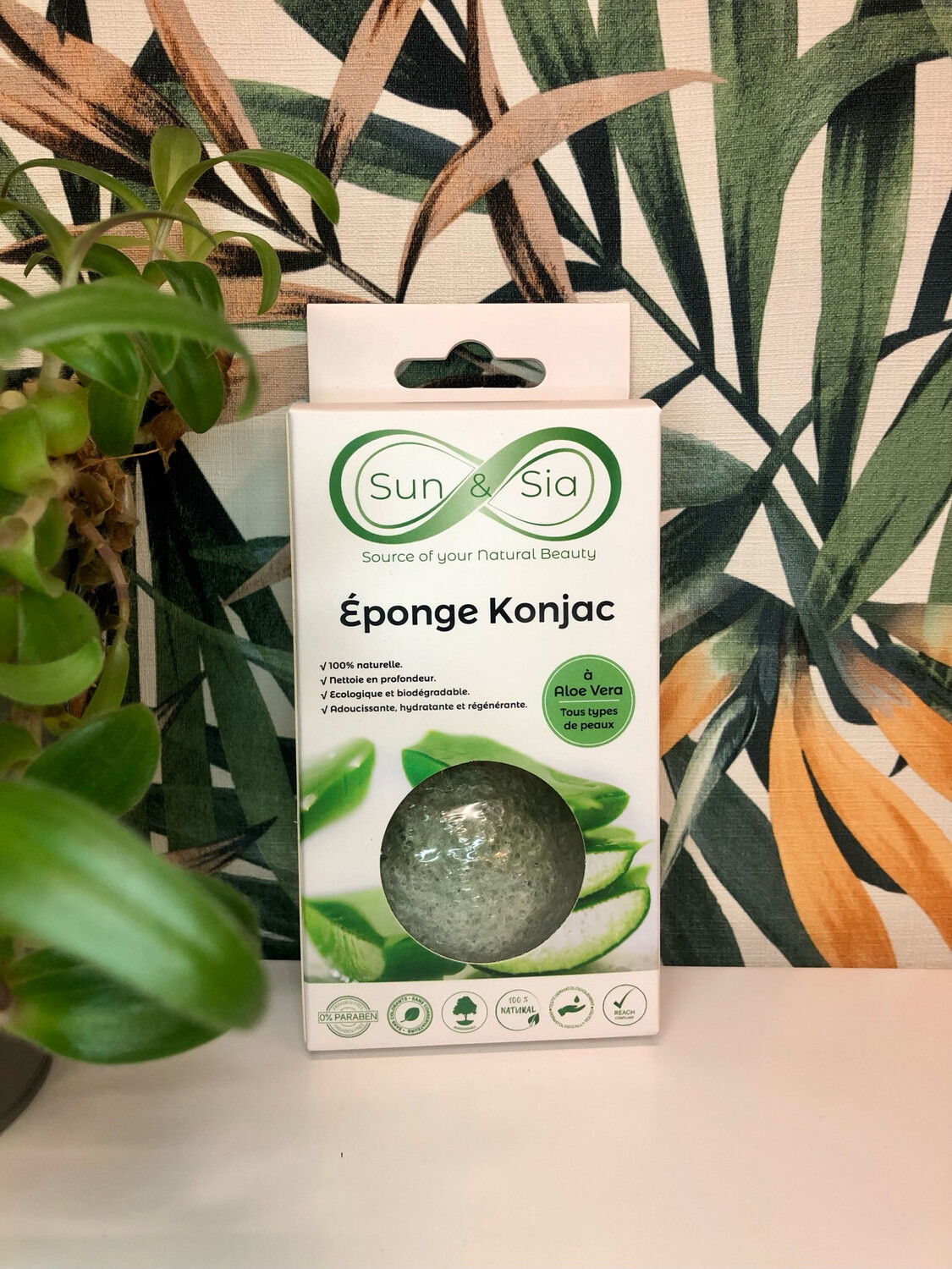 Éponge de Konjac Aloe Vera