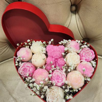 Best Seller & Nouveautés