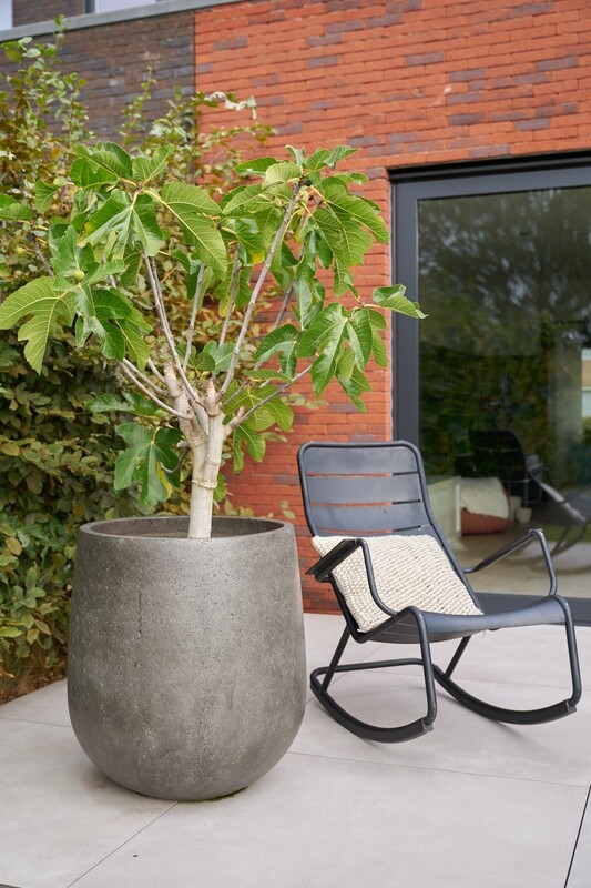 CASUAL PLANTER - ZWART
