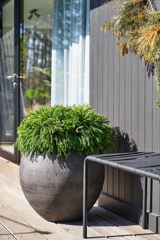 BUNDLE PLANTER - ZWART