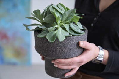 KEEP PLANTER - ZWART/BRUIN