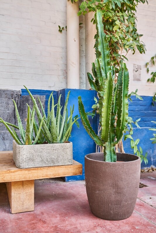 NATURE PLANTER - ZWART/BRUIN