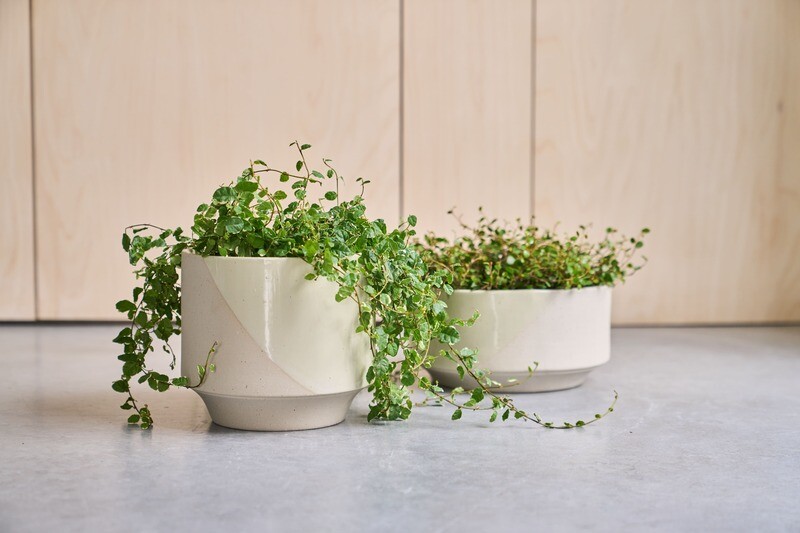 TIDE PLANTER - WIT