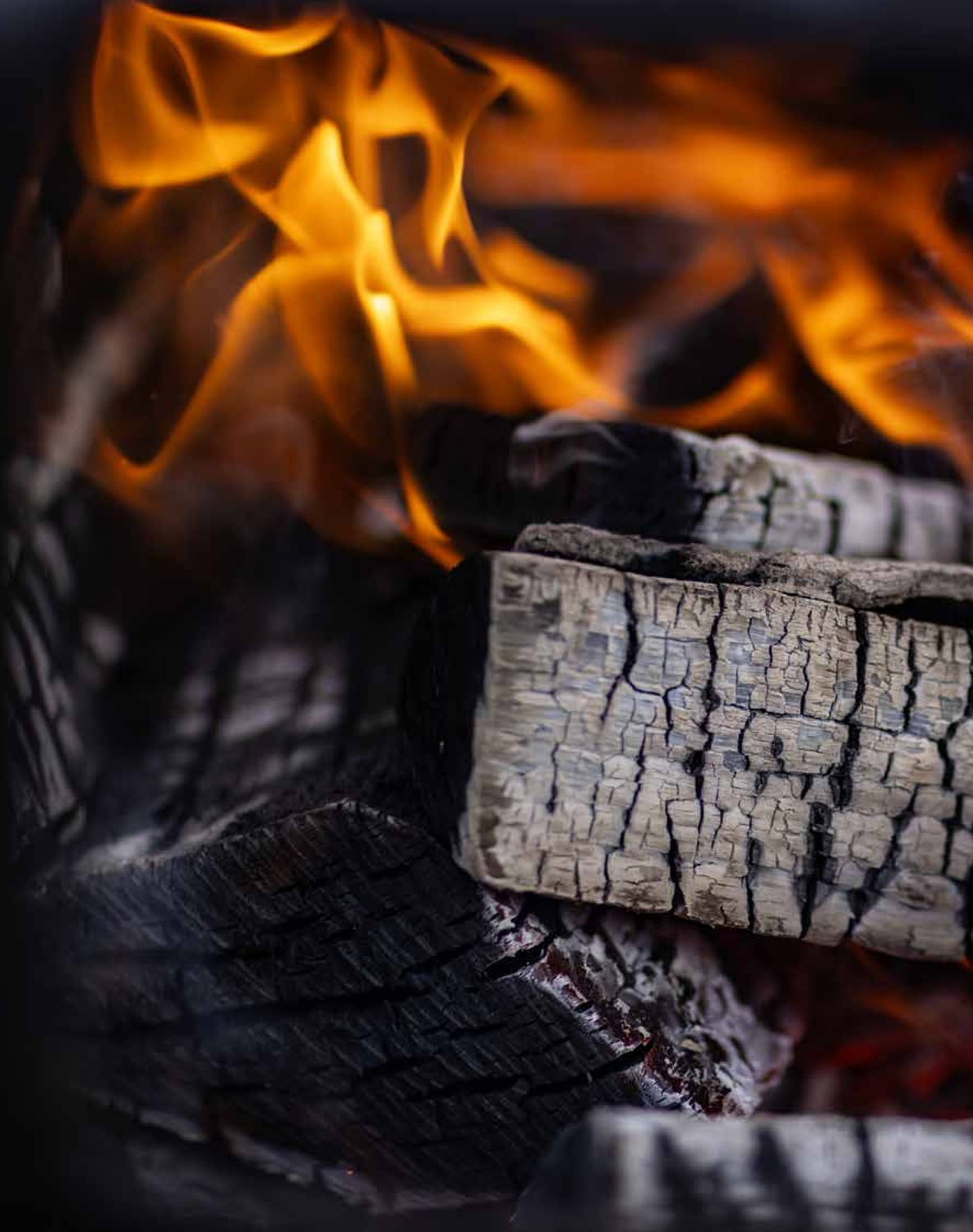 WORKSHOP - Fire Dining