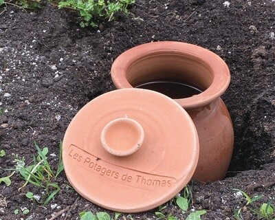 OLLO KRUIK OLLO KRUIK