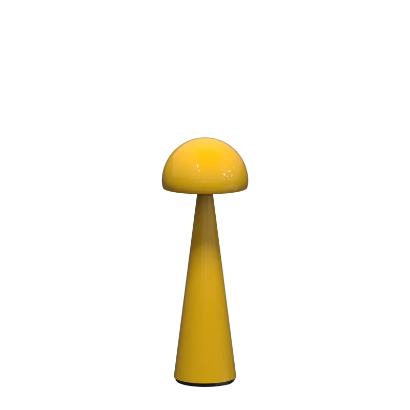 ZANZI