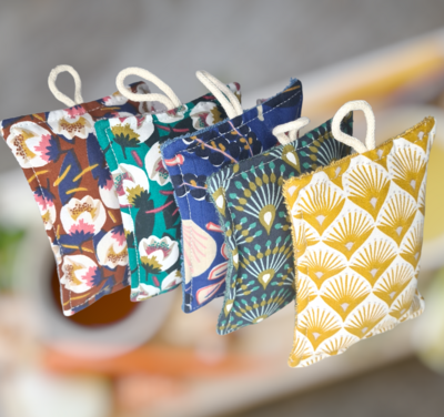 Eponges plates