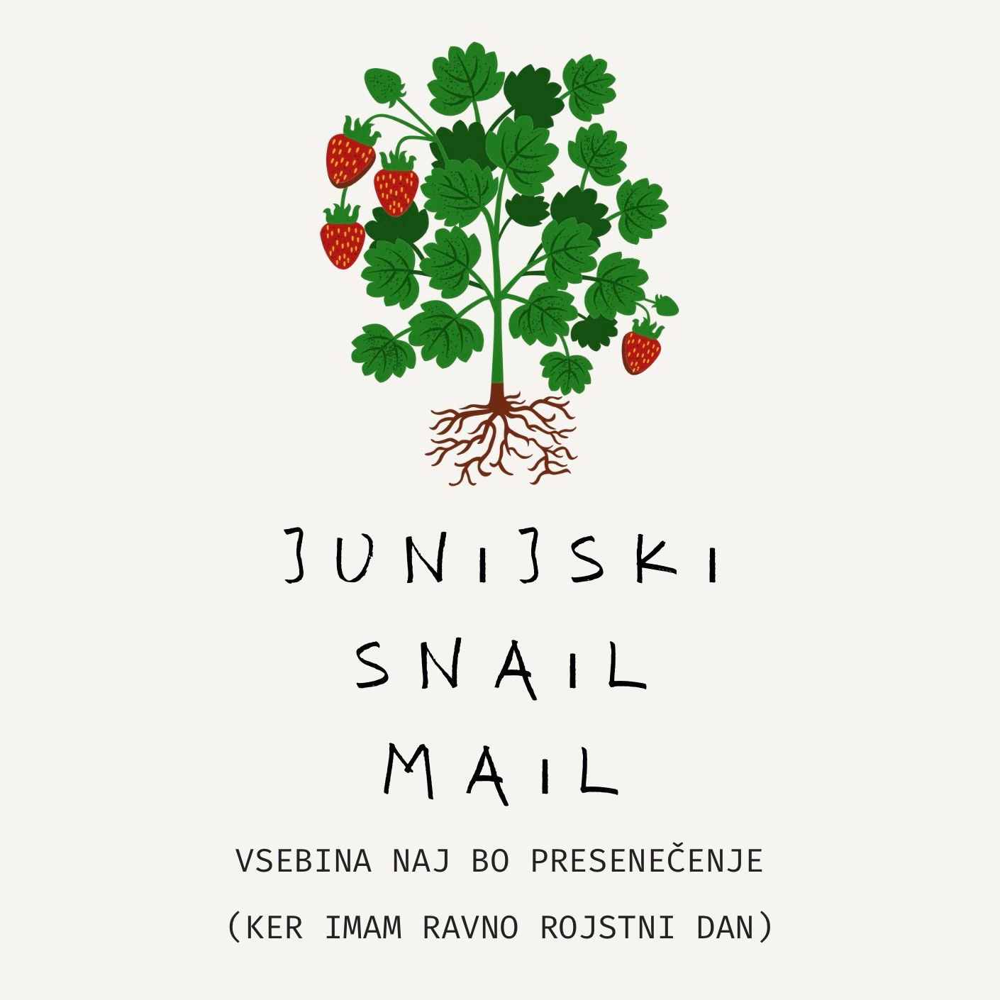 Snail Mail Club: naročnina za 1, 3 ali 6 mesecev 🐌