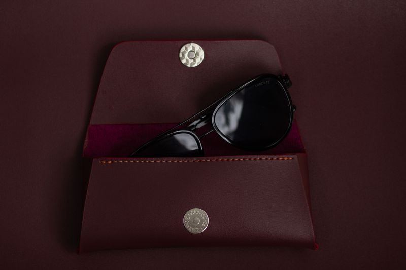 La Vue Eye case (Maroon)