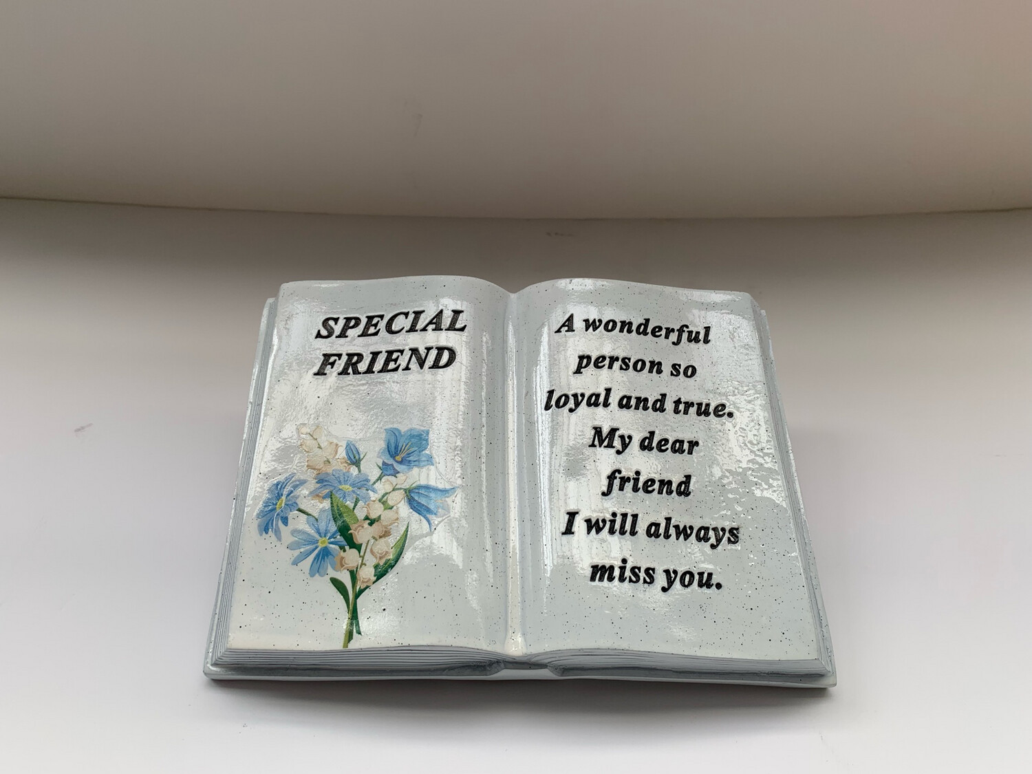 Memorial Book (Special Friend)