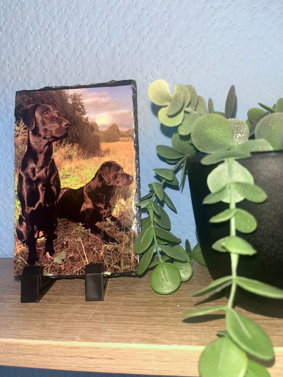Mini Photo Slate