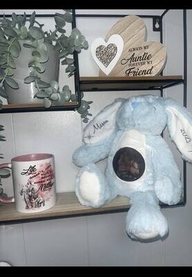 Blue Rabbit: Personalised Soft Teddy