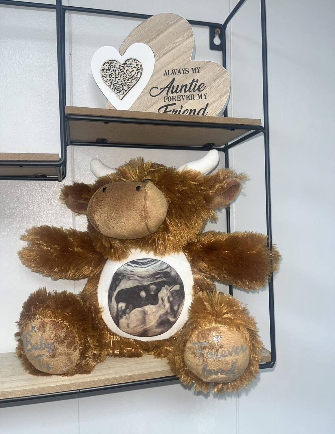 Highland Cow: Personalised Soft Teddy