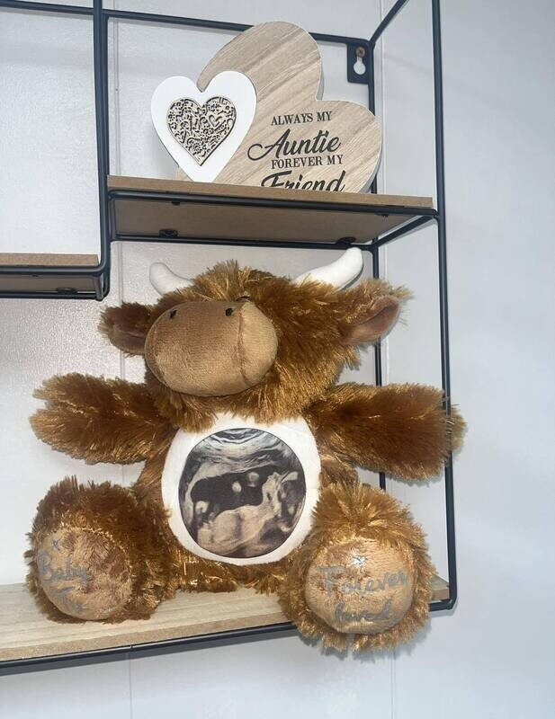 Highland Cow: Personalised Soft Teddy