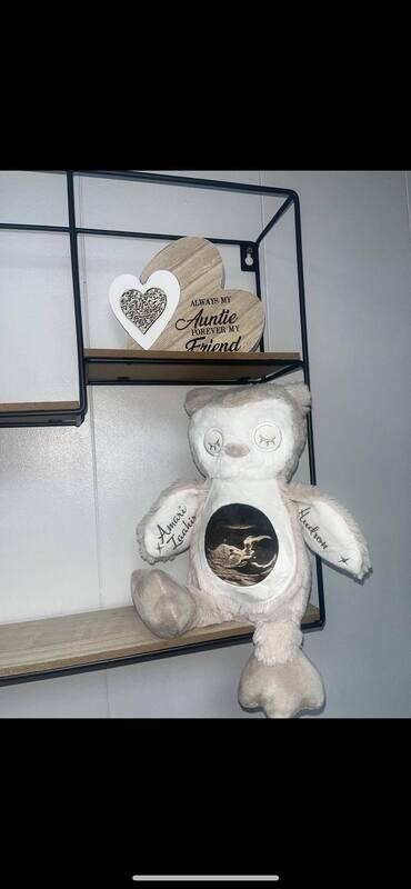 Animal Bears (range of choices) : Personalised Soft Teddy