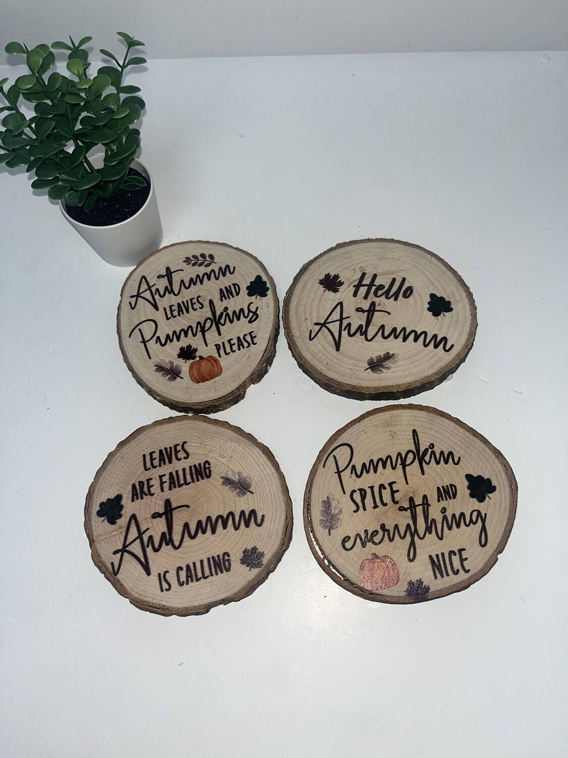 Autumn Wood Slice Coasters: Set of 4