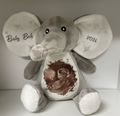 Ellie Bear: Personalised Soft Teddy