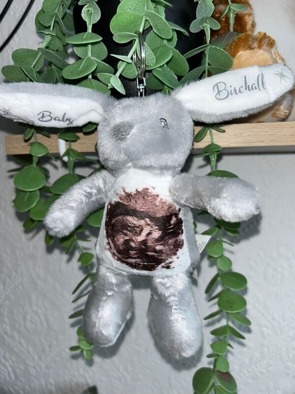 Rabbit Keyring: Personalised Soft Teddy Rabbit Keyring: Personalised Soft Teddy