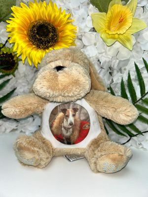 Dog: Personalised Soft Teddy