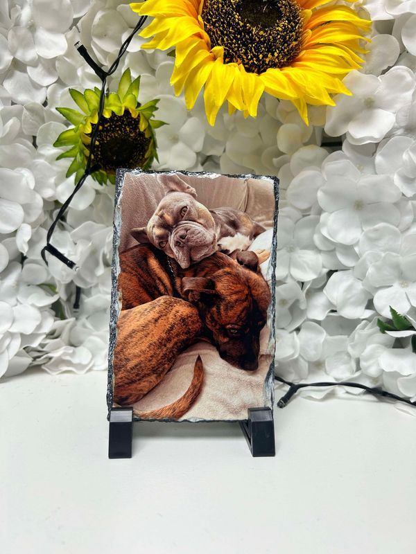 Mini Photo Pet Slate