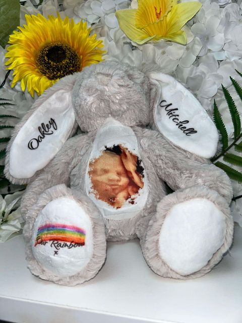 Rainbow Baby Bear