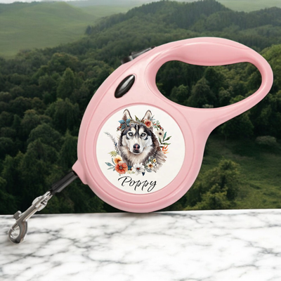 Personalised Dog Lead: